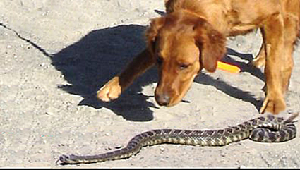 Presenter bio image