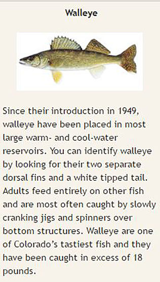 Presenter bio image